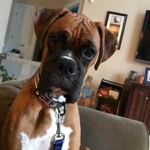 Meet your Posher, Julia